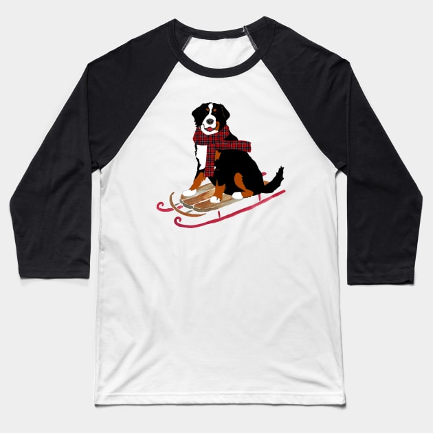 Bernese Mountain Dog Sledding Baseball T-Shirt by emrdesigns